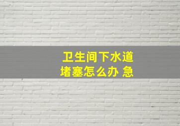 卫生间下水道堵塞怎么办 急